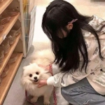 寒月双刀官方版下载